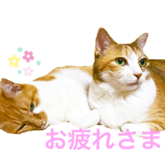 [LINEスタンプ] うみそらまる2
