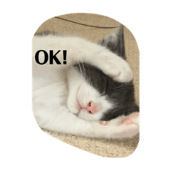 [LINEスタンプ] ベリー＆ジャムの日常の言葉