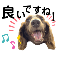 [LINEスタンプ] ククルとルーク2