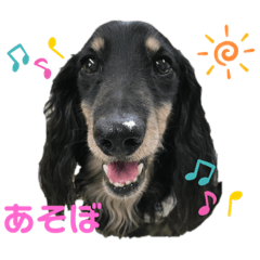 [LINEスタンプ] ダックス（Louis）のスタンプ