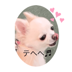 [LINEスタンプ] しずあずコンビ 毎日元気！！