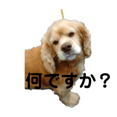 [LINEスタンプ] ノアル2