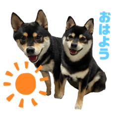 [LINEスタンプ] モジロンといっしょ♪