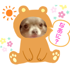 [LINEスタンプ] バニチプ♡