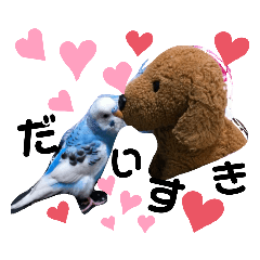 [LINEスタンプ] セキセイインコのヒメルちゃん♡