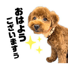 [LINEスタンプ] いけがみ家のやんちゃトム