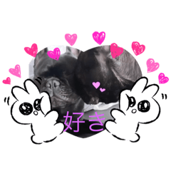 [LINEスタンプ] 、、、、このメンツしか勝たん