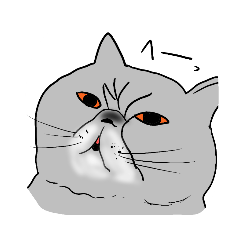 [LINEスタンプ] 猫エキゾチックショートヘア「ハコ君」