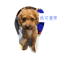 [LINEスタンプ] 香秋香