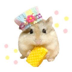 [LINEスタンプ] ハム ときどき チンチラ。