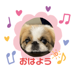 [LINEスタンプ] purin20181002