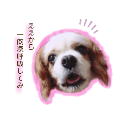 [LINEスタンプ] りっちゃんの上から目線