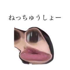 [LINEスタンプ] いどぇいどぅ