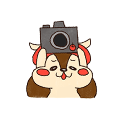 [LINEスタンプ] ぽむりすのカメラスタンプ。