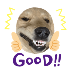 [LINEスタンプ] Todos los días