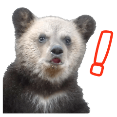 [LINEスタンプ] のぼりべつクマ牧場 公式スタンプ第2弾