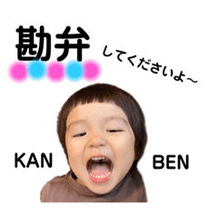 [LINEスタンプ] 我が家の家族トーク