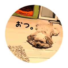 [LINEスタンプ] 小太郎ピノスタンプ
