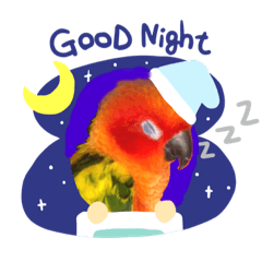 [LINEスタンプ] コガネメキシコインコ ぺこ