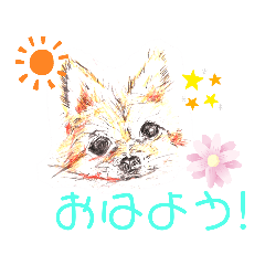[LINEスタンプ] ポメわん＆スコにゃん