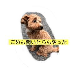 [LINEスタンプ] 長崎弁をしゃべるわんこ〜part3