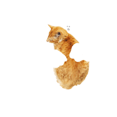 [LINEスタンプ] おばけくんの日々