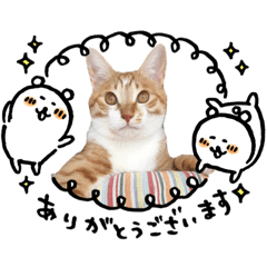 [LINEスタンプ] ＊もなかのスタンプ5＊