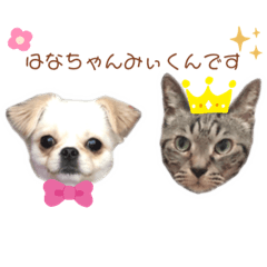 [LINEスタンプ] はなちゃん＆ みぃくん