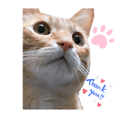 [LINEスタンプ] misamisaスタンプ2
