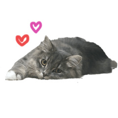 [LINEスタンプ] むぎちゃんダイアリー2
