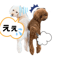 [LINEスタンプ] こむたん's  2