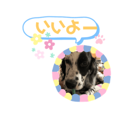 [LINEスタンプ] てぃーちゃんくぅーちゃん2