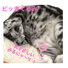 [LINEスタンプ] ビッきぐるみ(2)