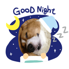 [LINEスタンプ] レオsスタンプ
