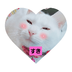 [LINEスタンプ] しろねこわさびのスタンプです