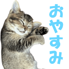 [LINEスタンプ] むぎとごま