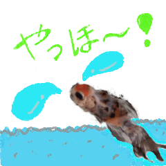 [LINEスタンプ] 金魚のポコちゃん