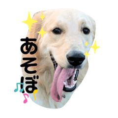 [LINEスタンプ] jeje