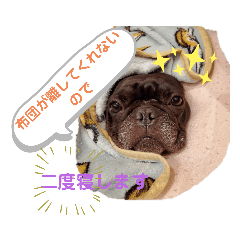 [LINEスタンプ] 5匹のフレンチブル、時々ボストン