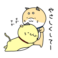 [LINEスタンプ] おめがとたろー3   /すてきな休日