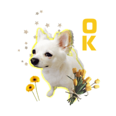 [LINEスタンプ] 私欲スタンプ