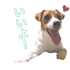 [LINEスタンプ] ジャックのポピィスタンプ