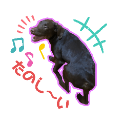 [LINEスタンプ] レジレッジのスタンプ②