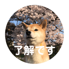 [LINEスタンプ] 田中なつ