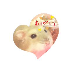 [LINEスタンプ] ハムハムちゃんのスタンプ