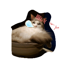 [LINEスタンプ] 色んな動物ⓒⓤⓣⓔ♡なスタンプ