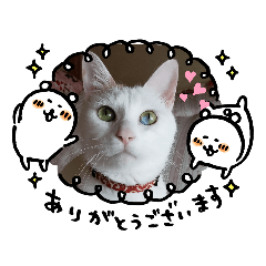 [LINEスタンプ] わさびのスタンプその2