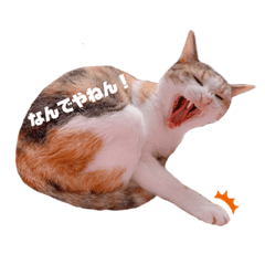 [LINEスタンプ] ユズモモとムム