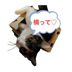 [LINEスタンプ] 末っ子うみちゃん