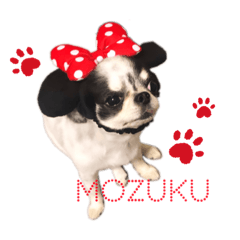 [LINEスタンプ] もずくちゃんのスタンプ